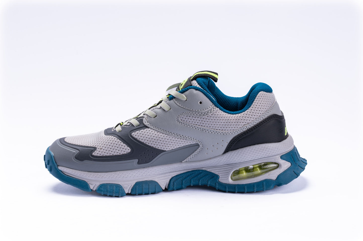 GOwalk Max – Gray & Blue